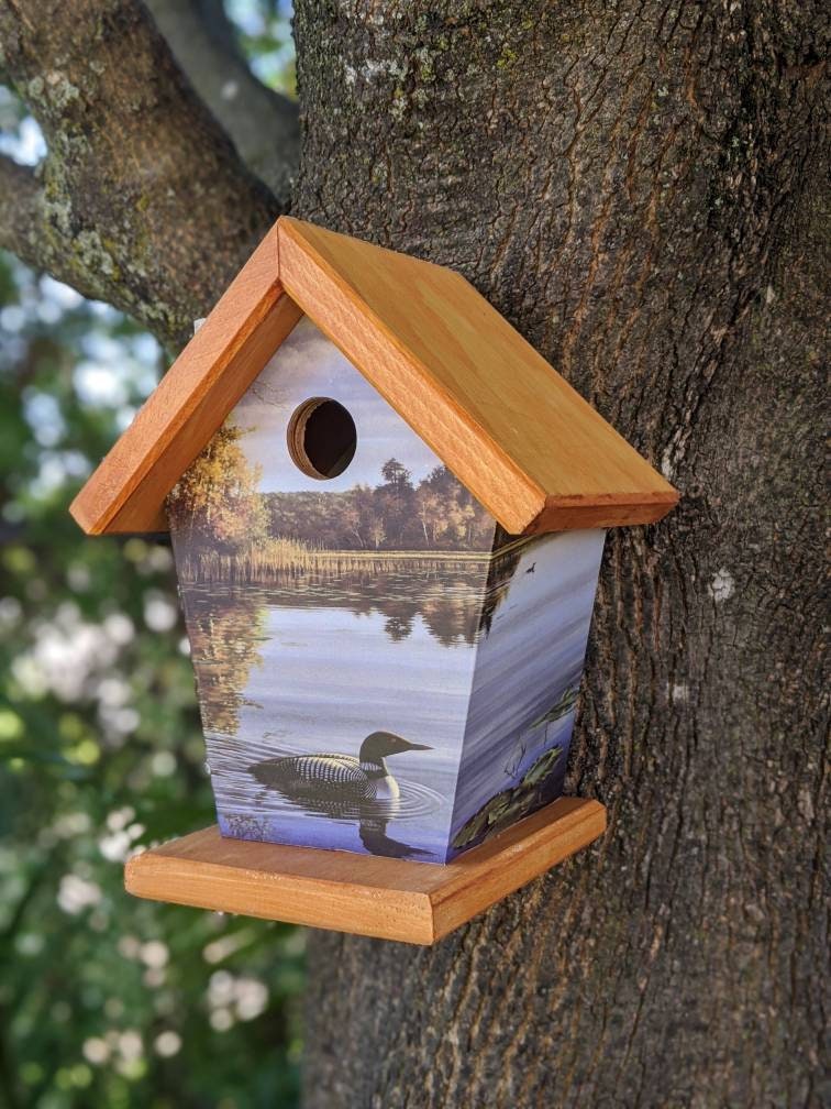 Loons Birdhouse