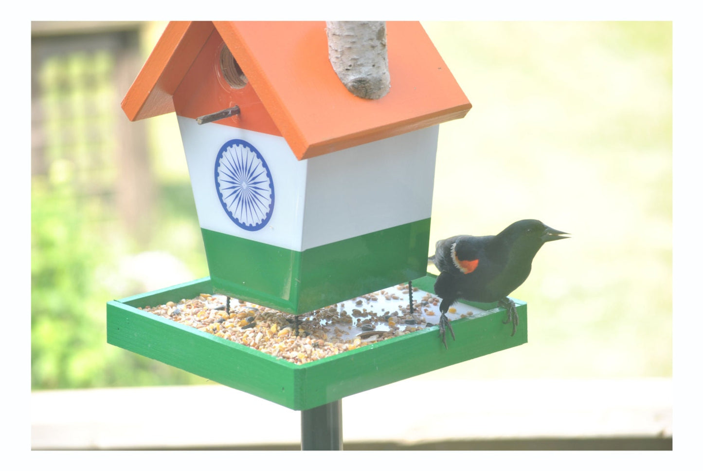 India Bird Feeder
