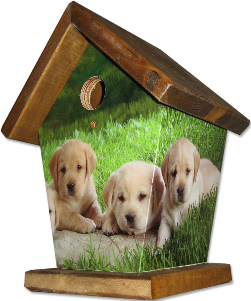 Puppys Birdhouse