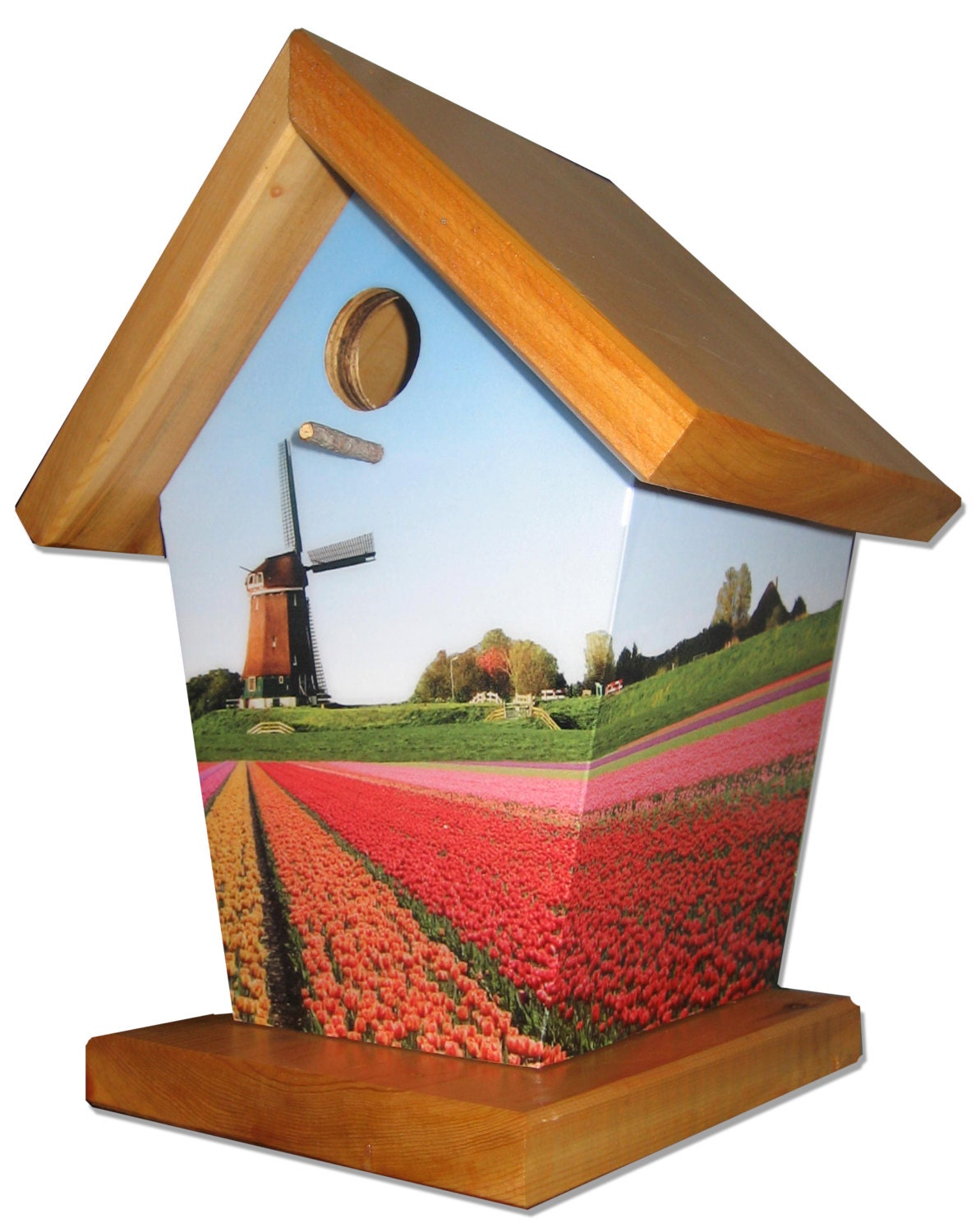 Windmill Birdhouse