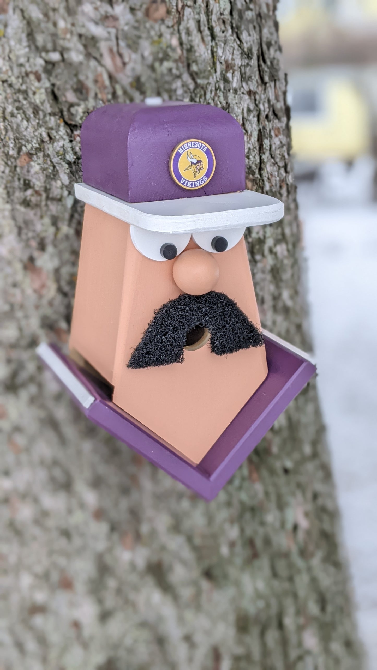 Minnesota Vikings Birdhouse