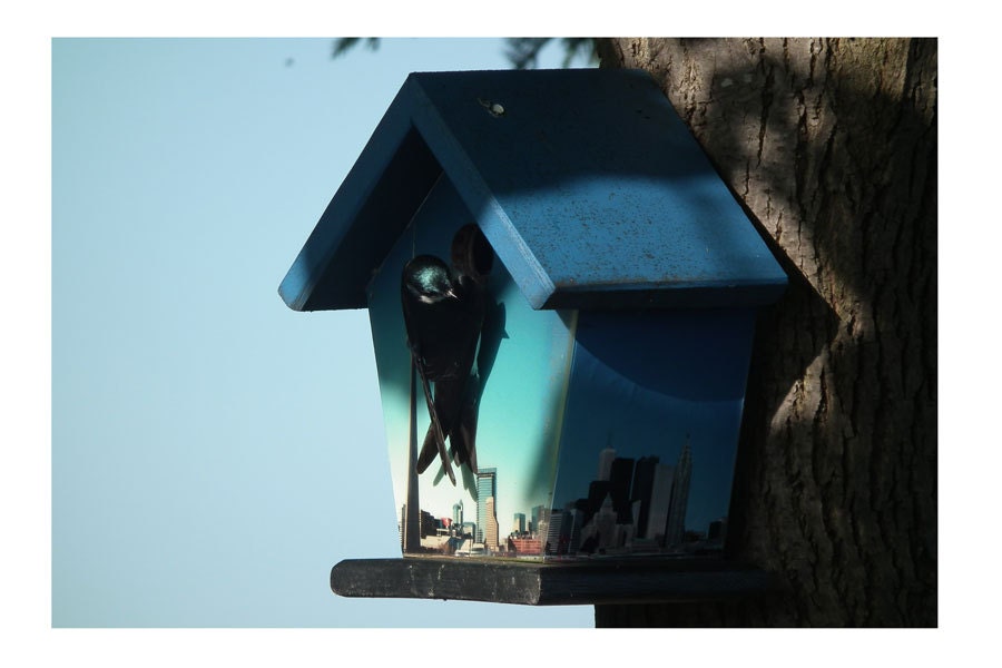Toronto Sky Line Birdhouse