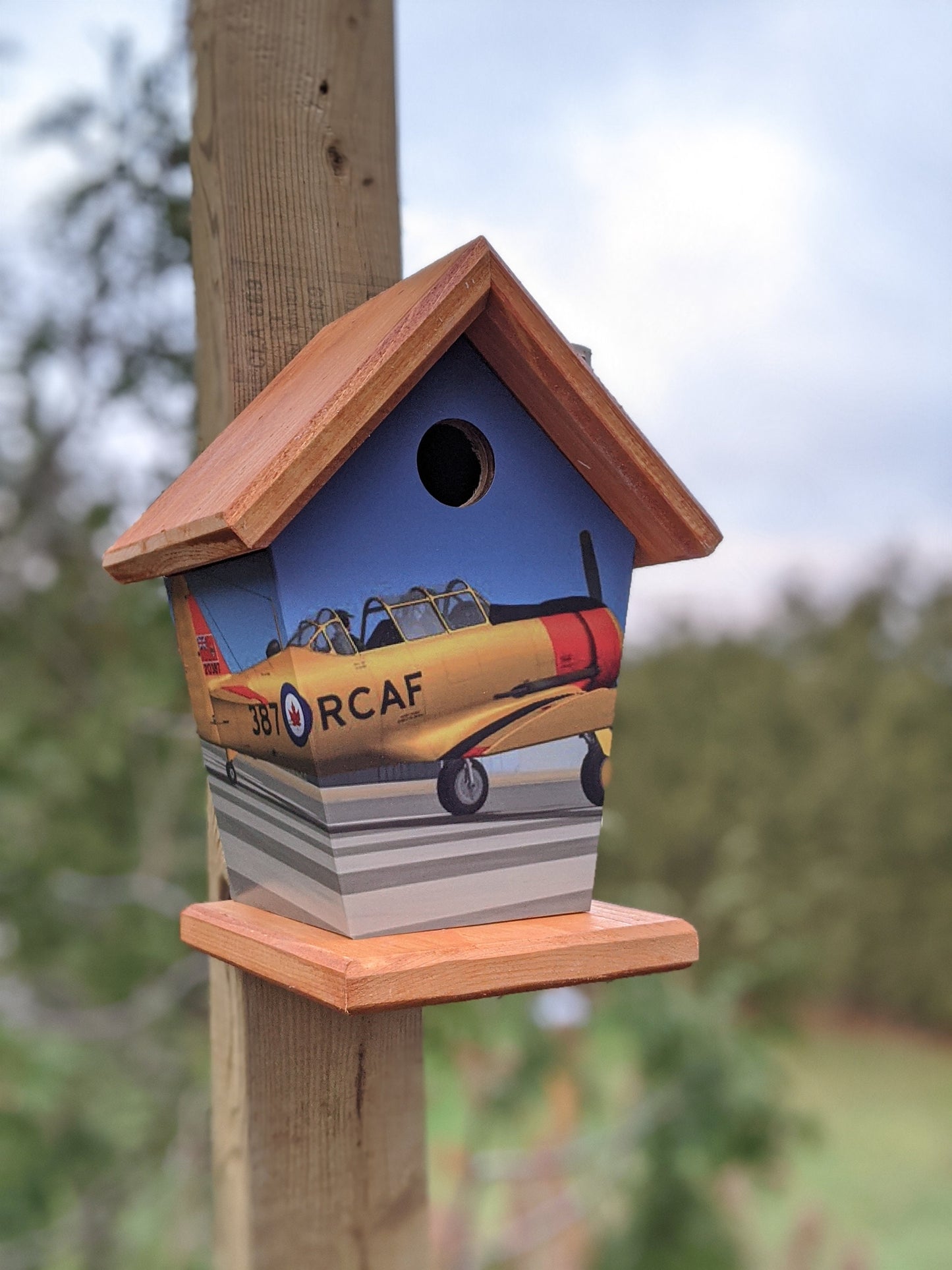 Harvard Aircraft Birdhouse