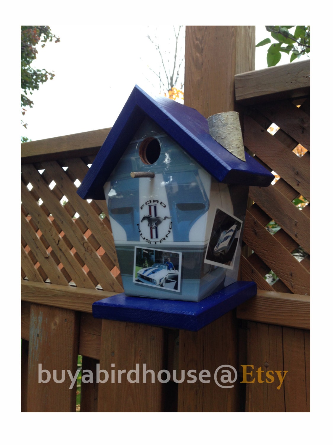Ford Mustang Custom Birdhouse