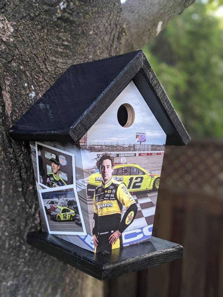Ryan Blaney Birdhouse Sports