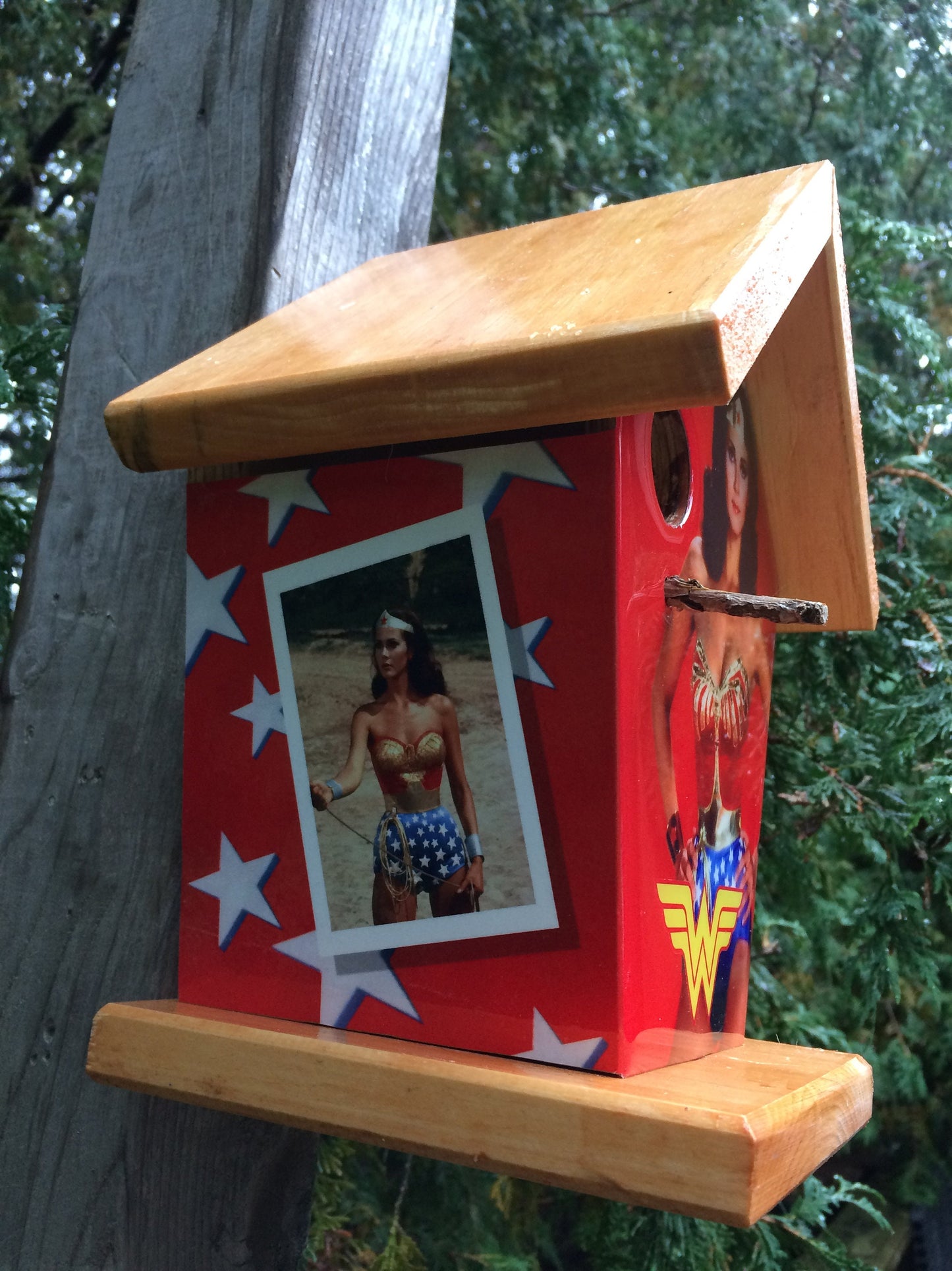 Wonder Woman Birdhouse