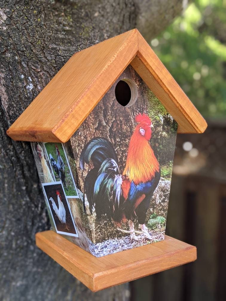 Rooster Birdhouse