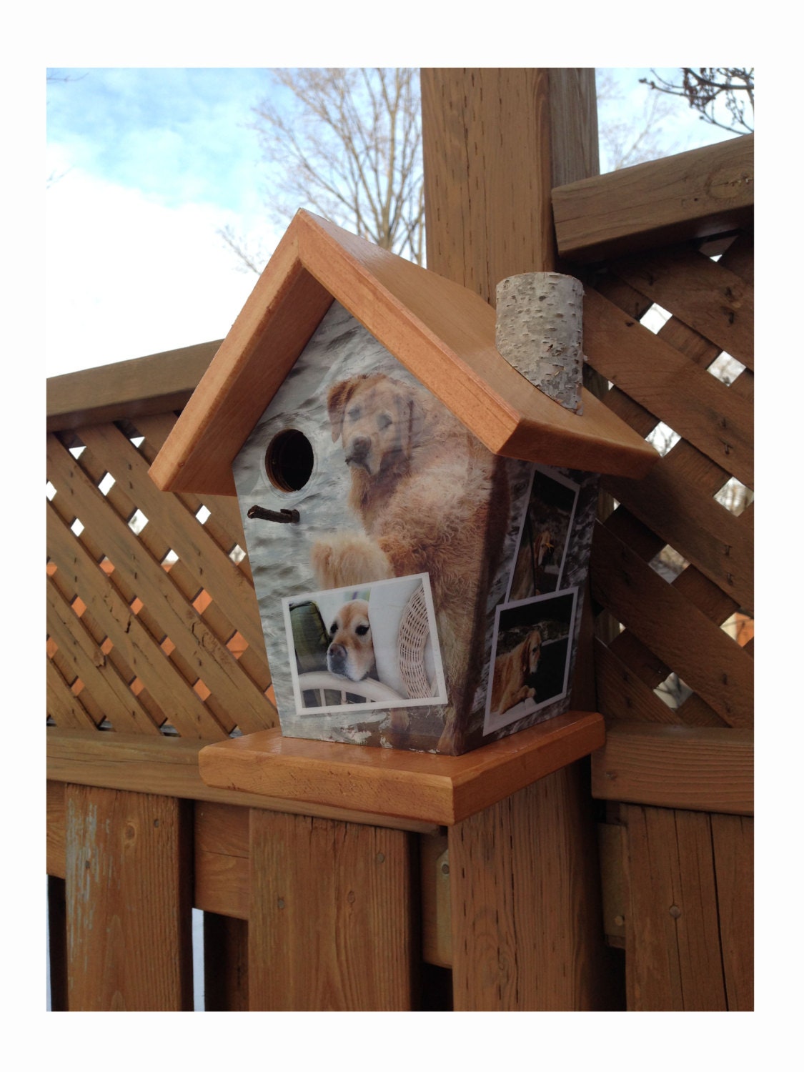 Custom (Stained Roof & Base) Birdhouse/Feeder