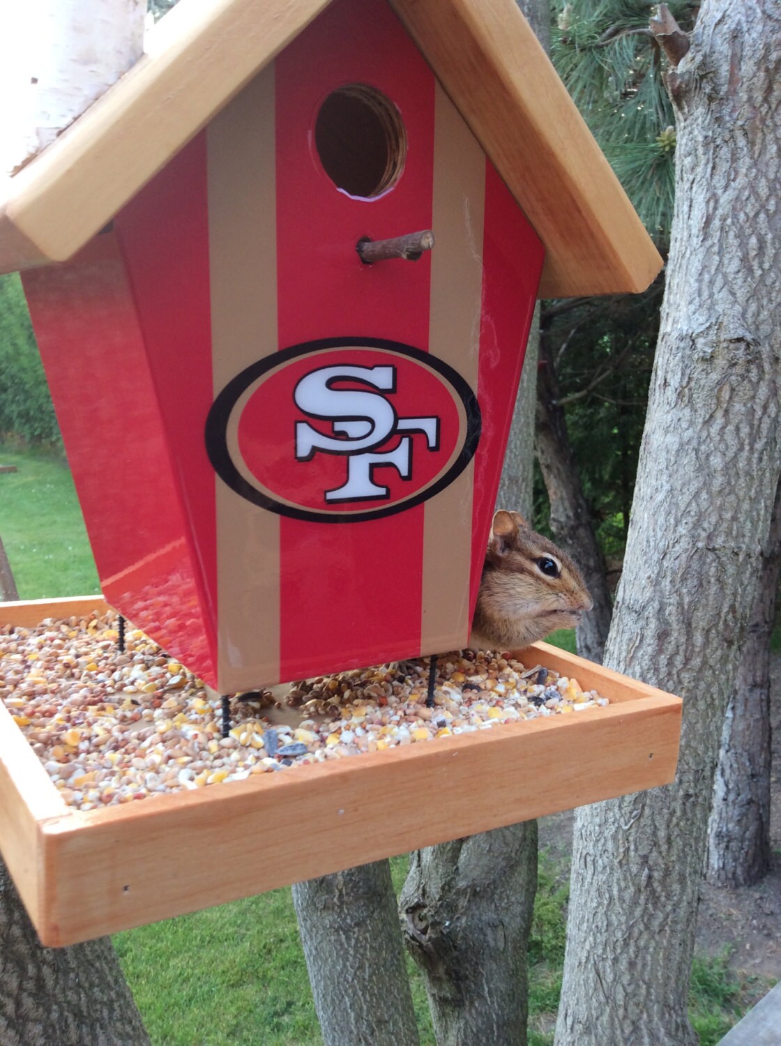 San Francisco 49ers Bird Feeder