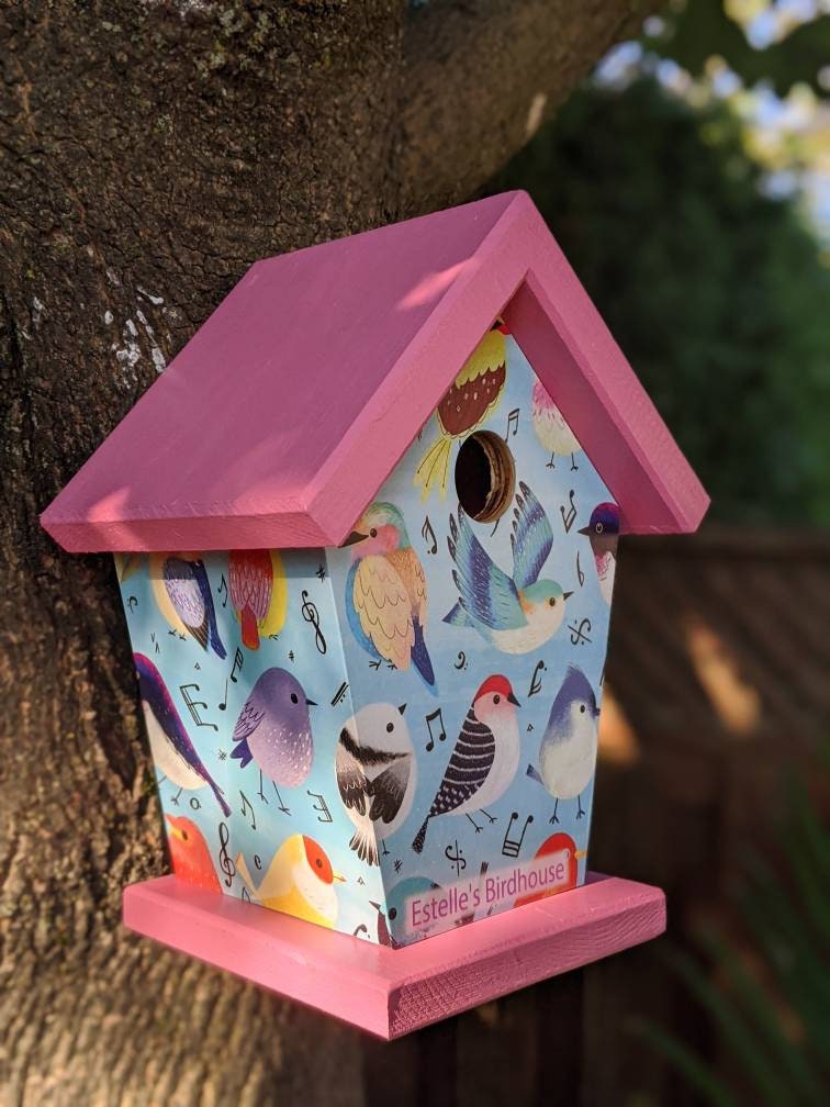 Songbirds (Pink Roof) Birdhouse
