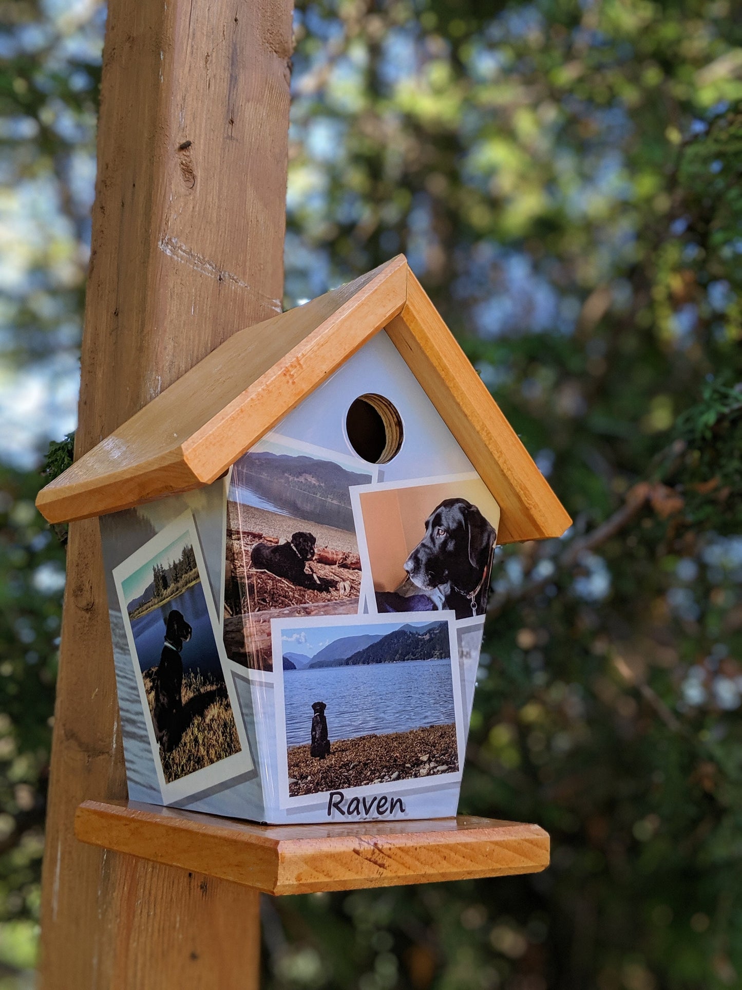 Personalized Birdhouse (6-8 images)