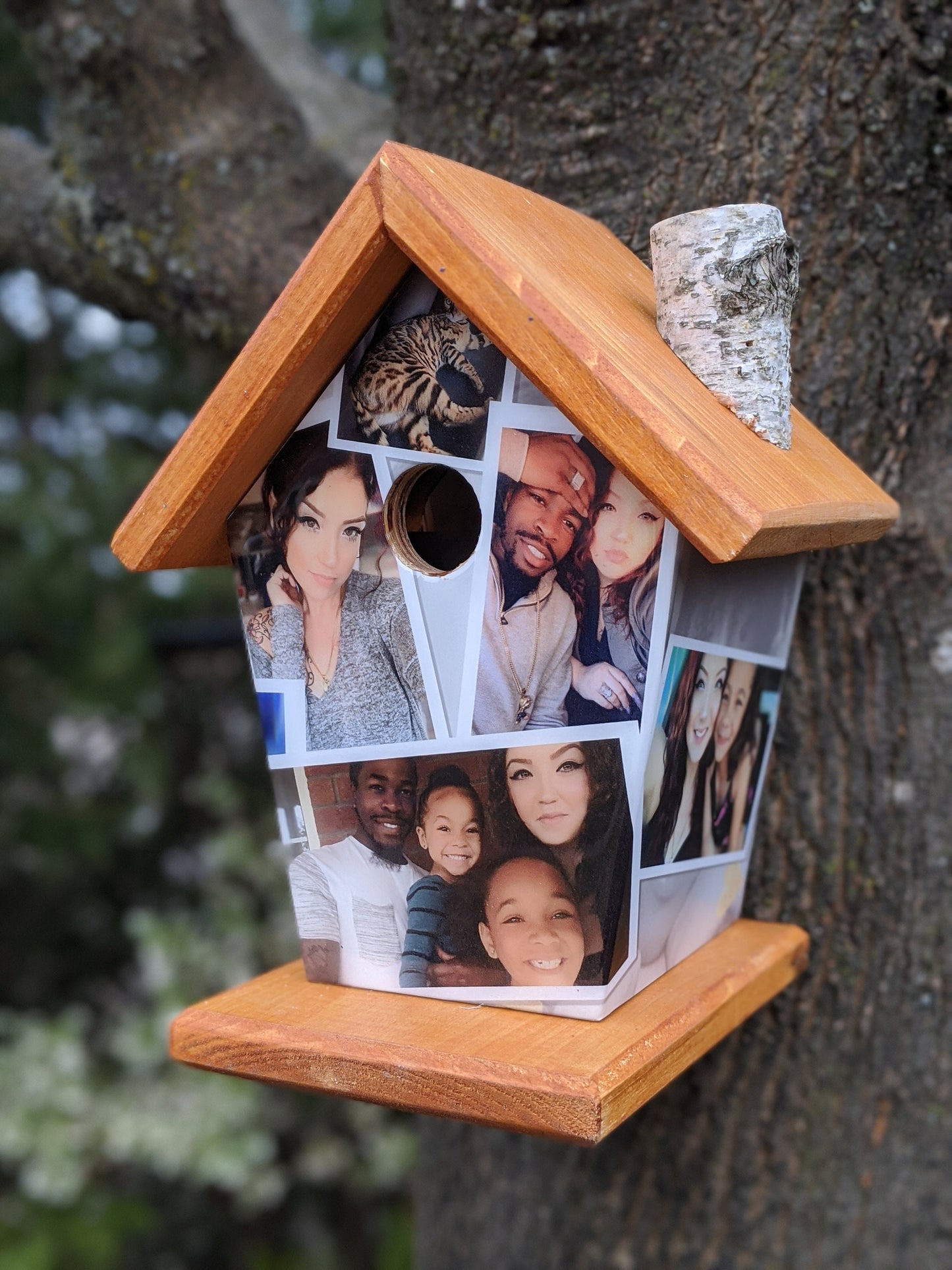 Personalized Birdhouse (6 Images) Birdhouse