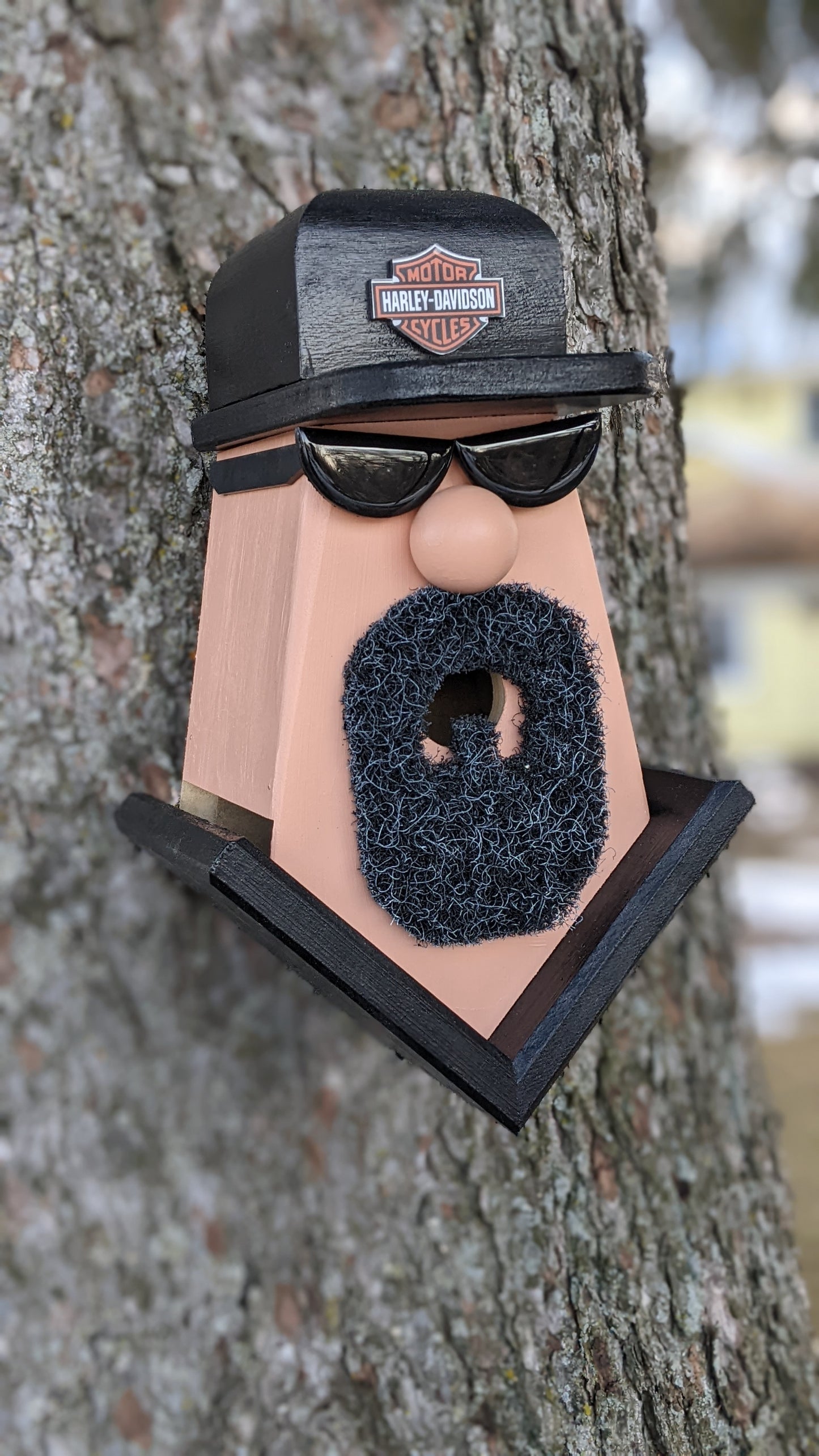 Motorcycle Dude Birdhouse