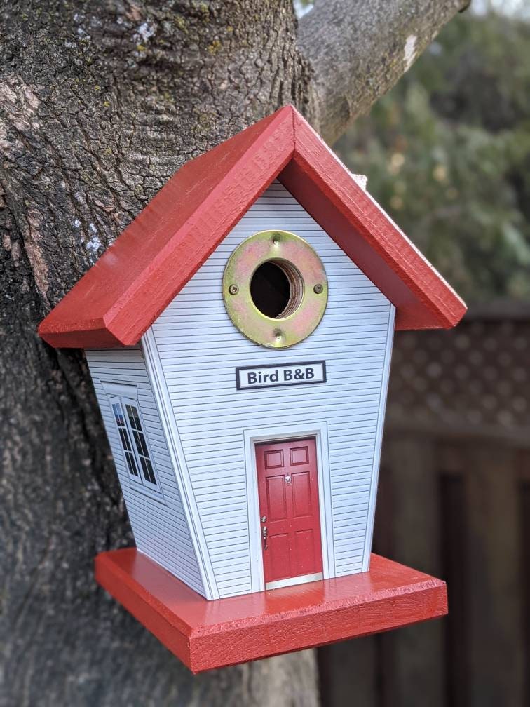Birds B & B (Hole Protector) Birdhouse