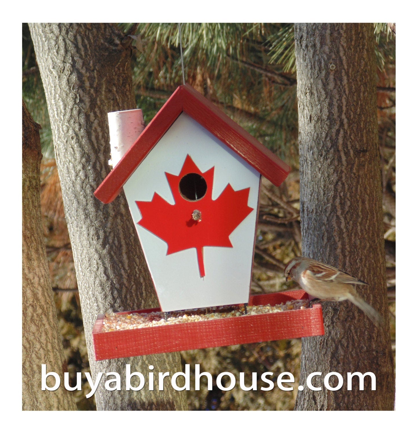 Canadian Bird Feeder