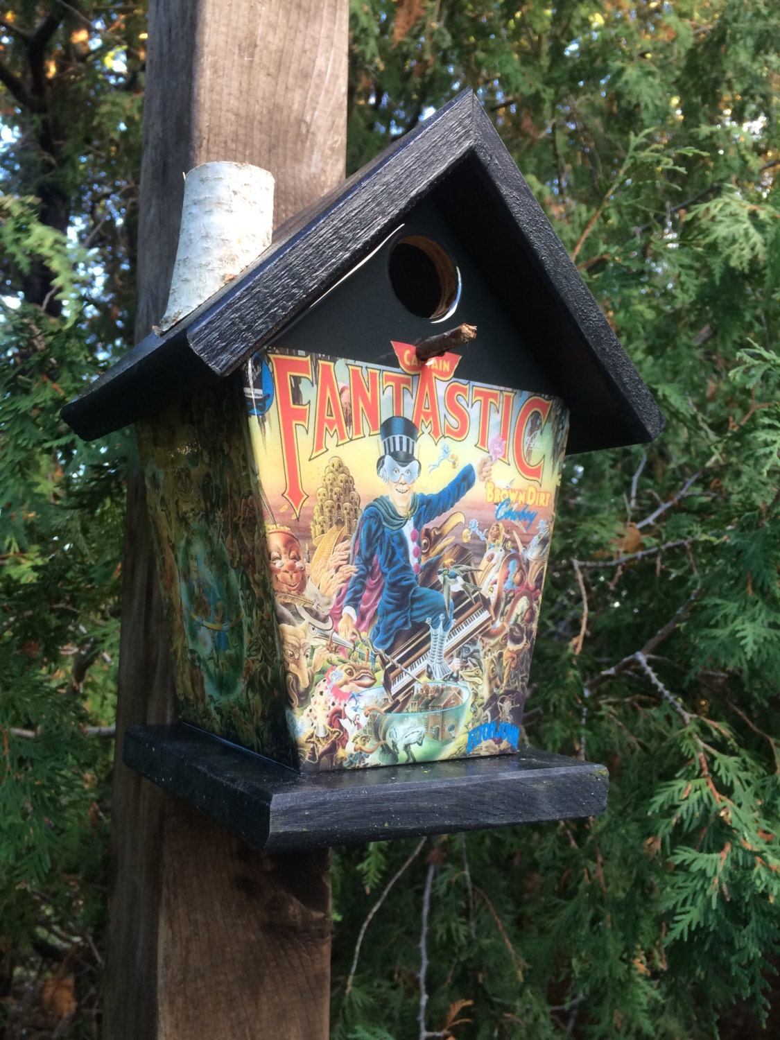 Elton John Captain Fantastic & Brown Dirt Cowboy Birdhouse Music
