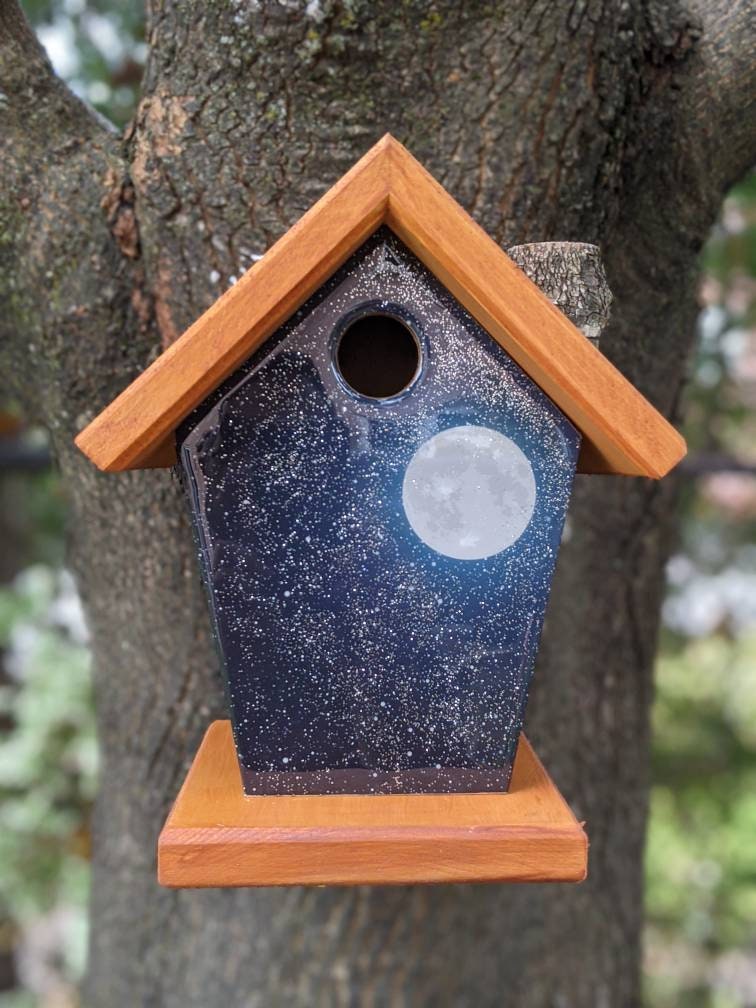 Full Moon Birdhouse