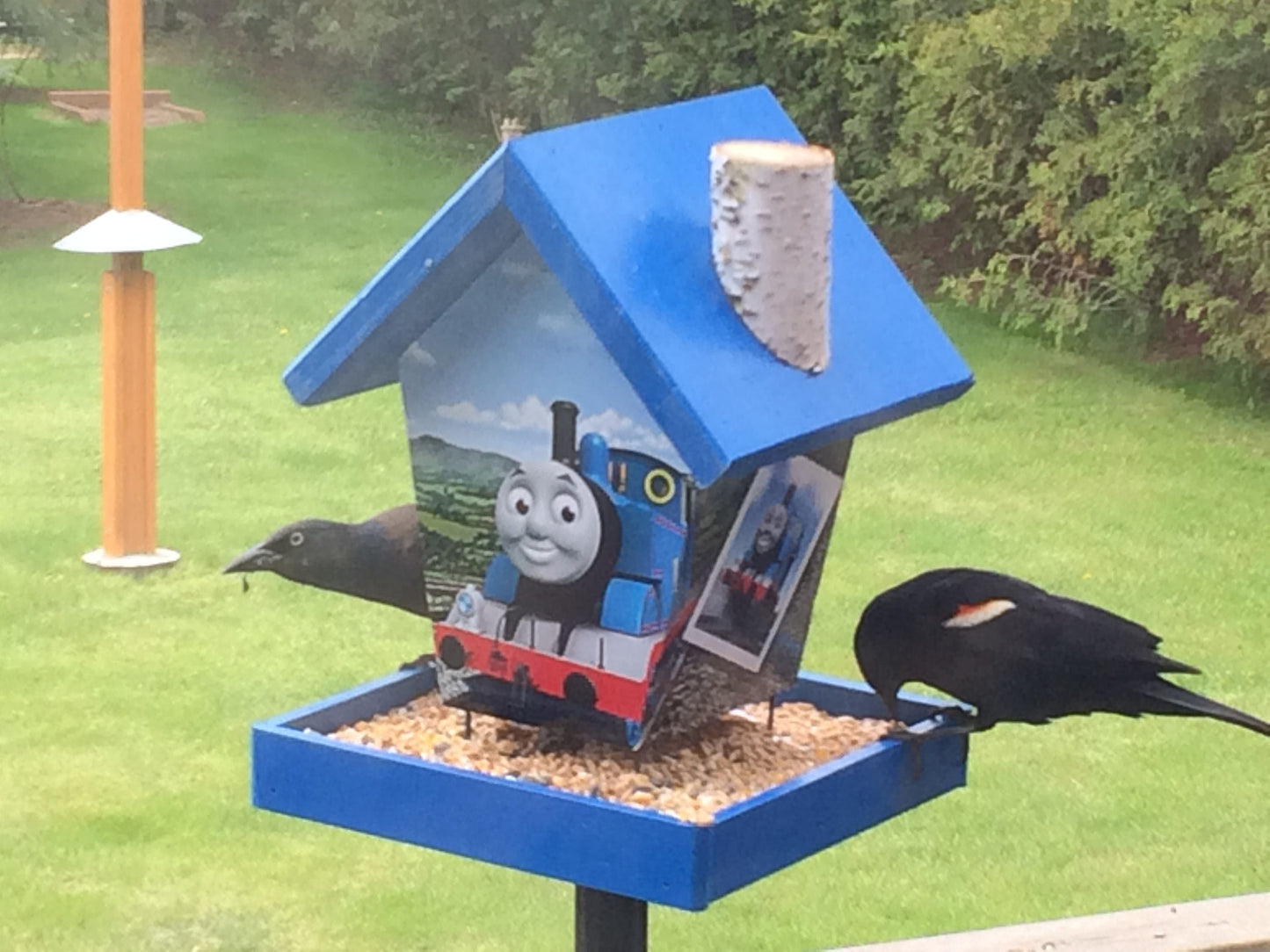 Thomas The Train Bird Feeder