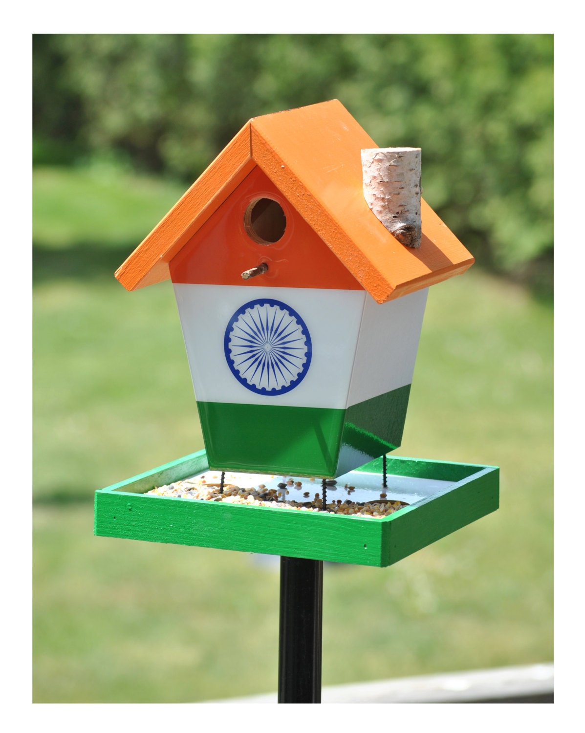 India Bird Feeder