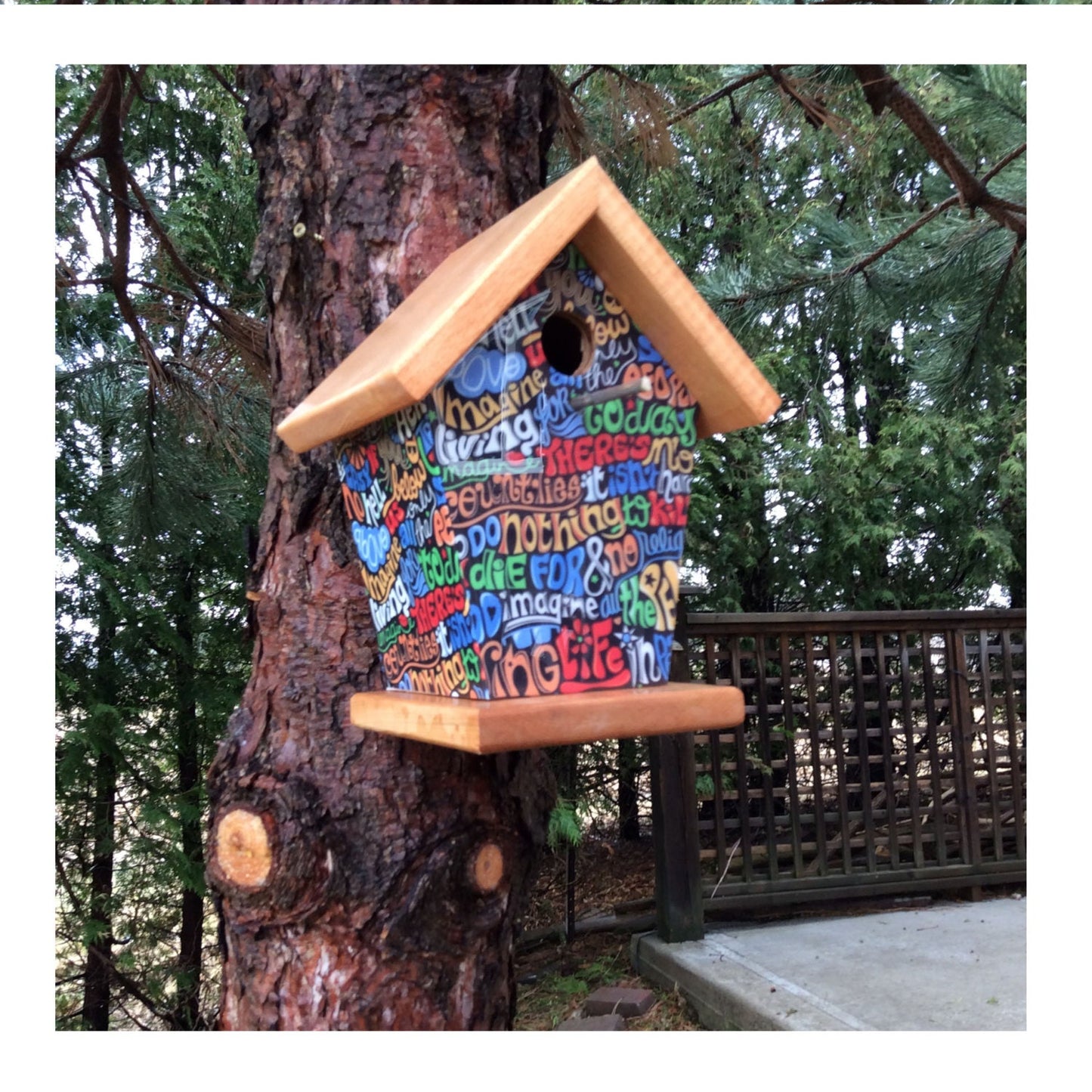 Imagine Birdhouse