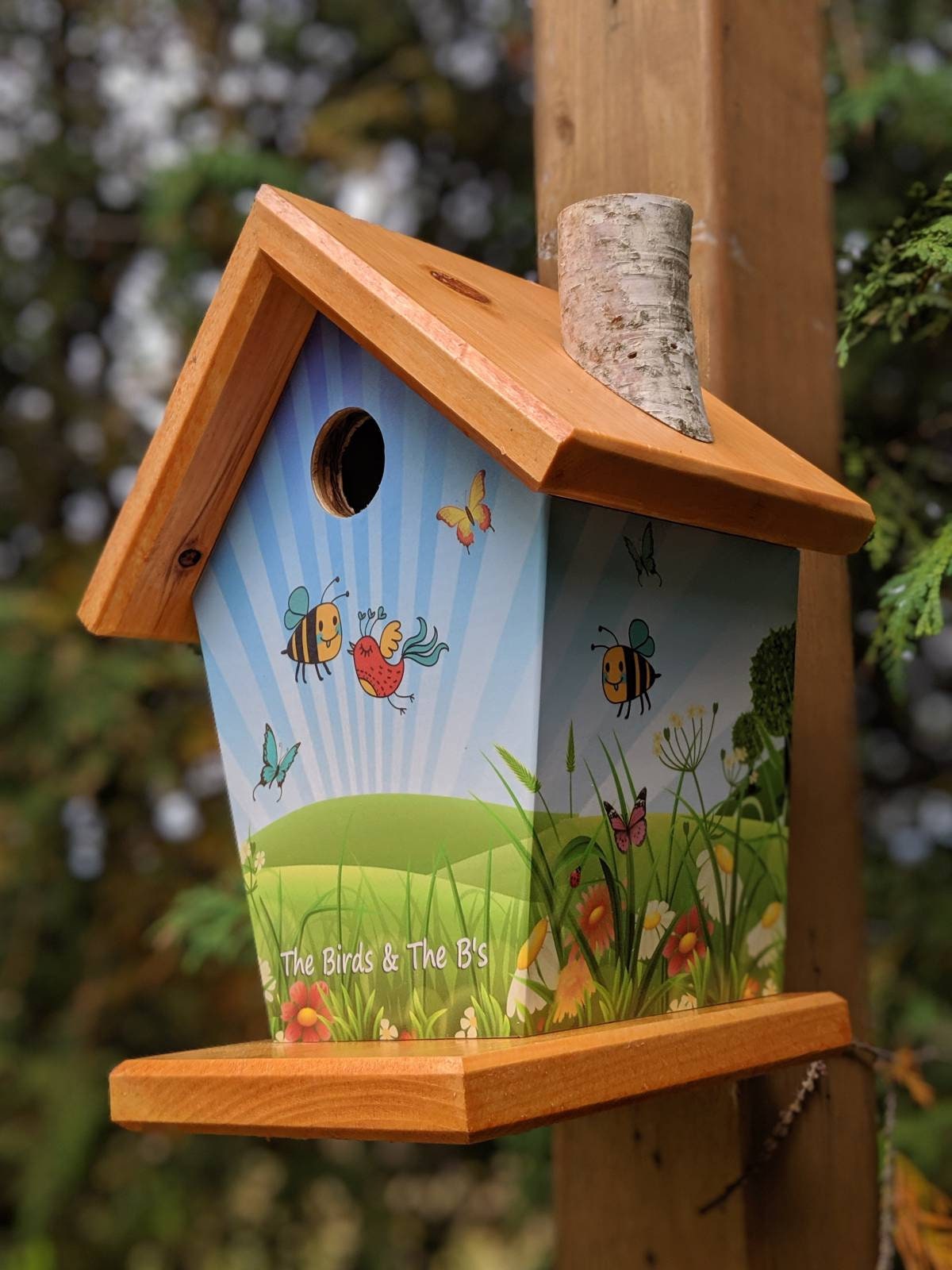 Birds & The B's (Stained Roof) Birdhouse