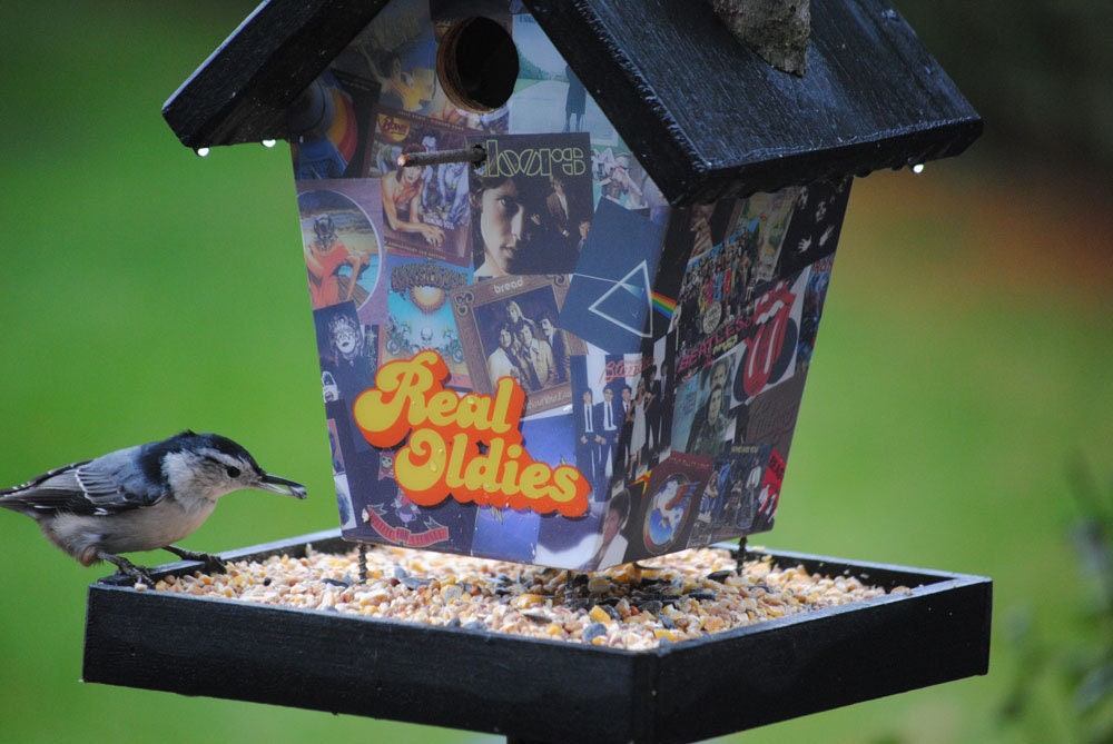 Real Oldies(Black Roof)Bird Feeder