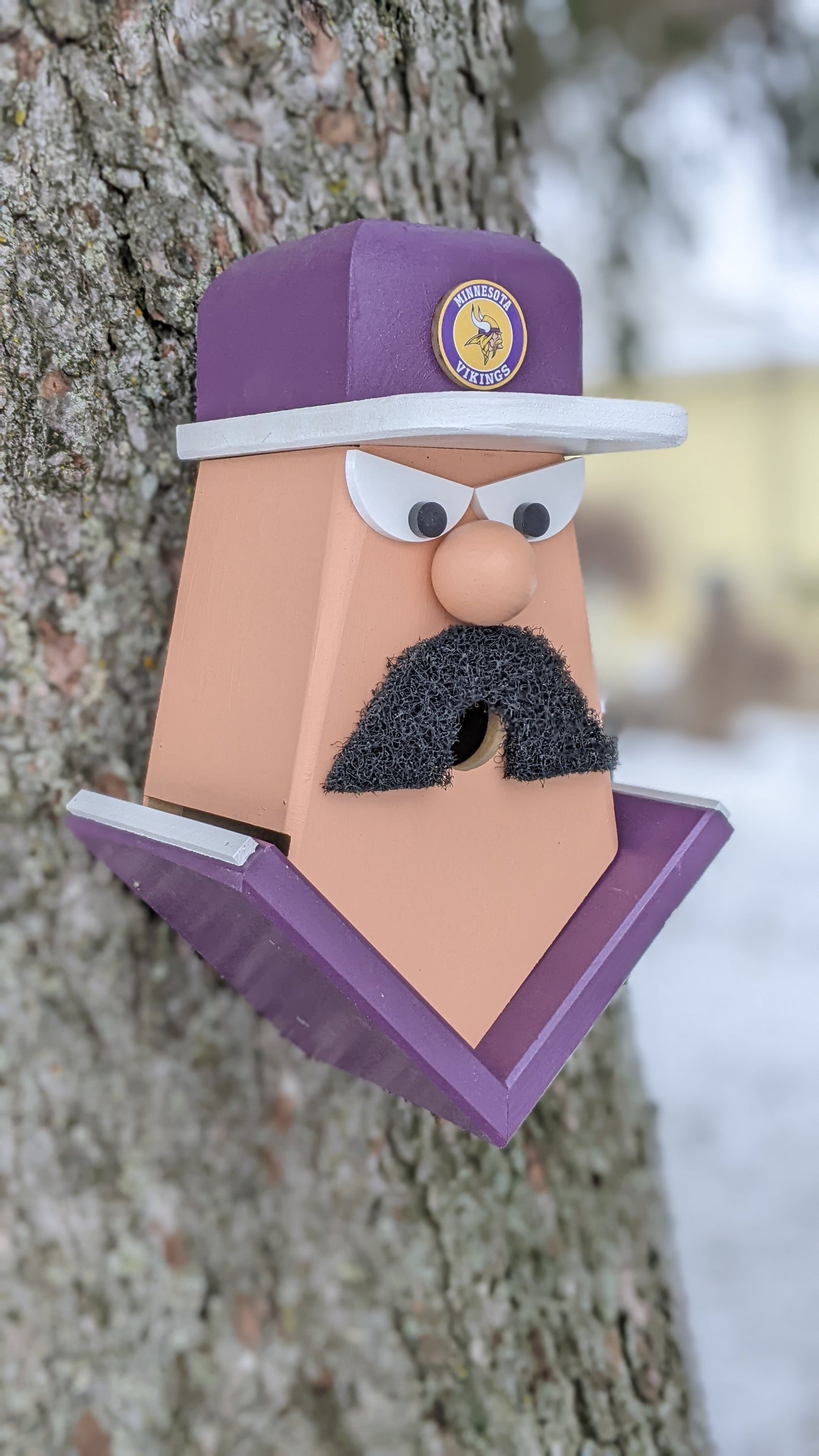 Minnesota Vikings Birdhouse
