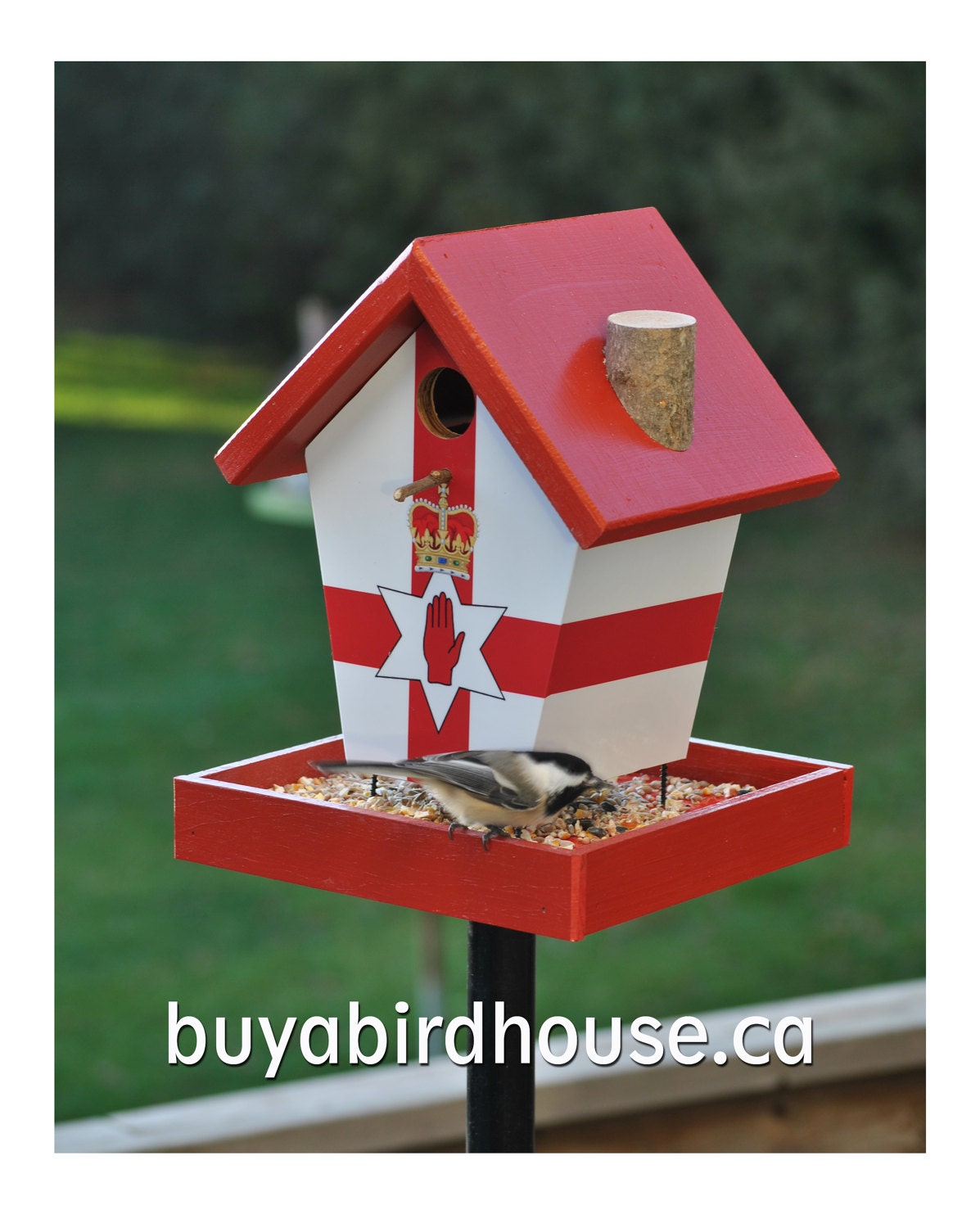 Hand Of Ulster Bird Feeder