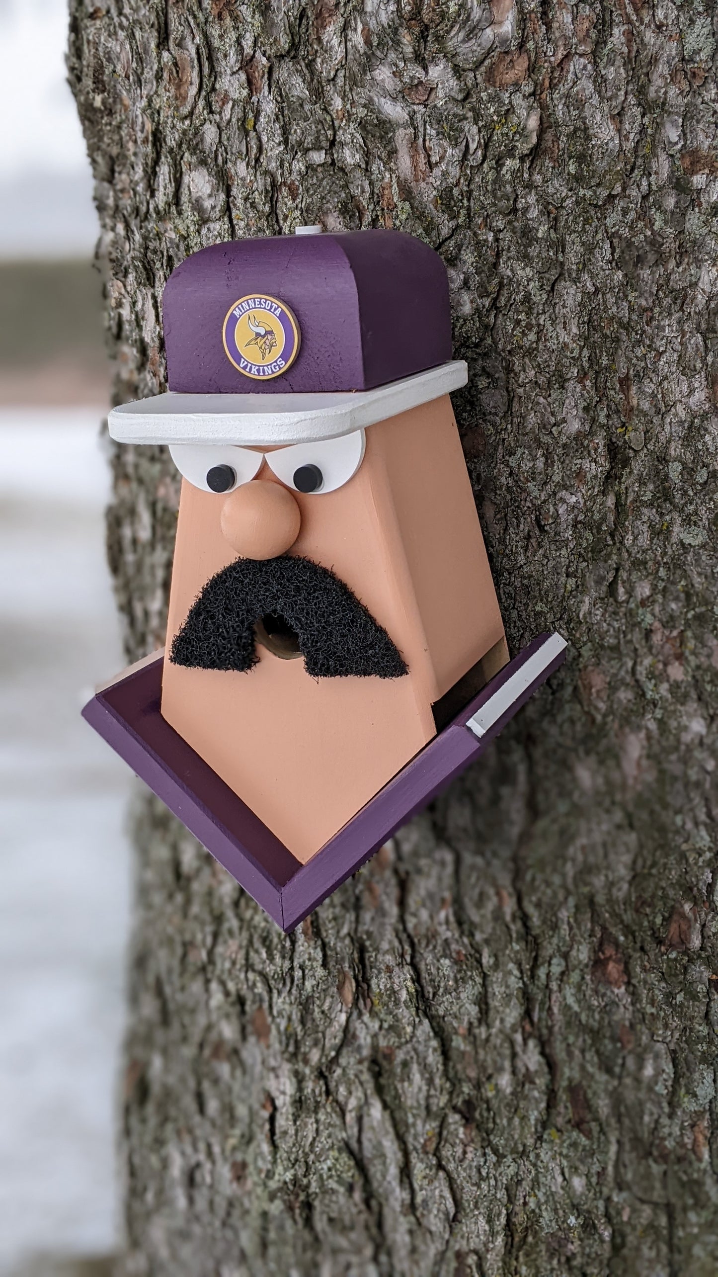 Minnesota Vikings Birdhouse