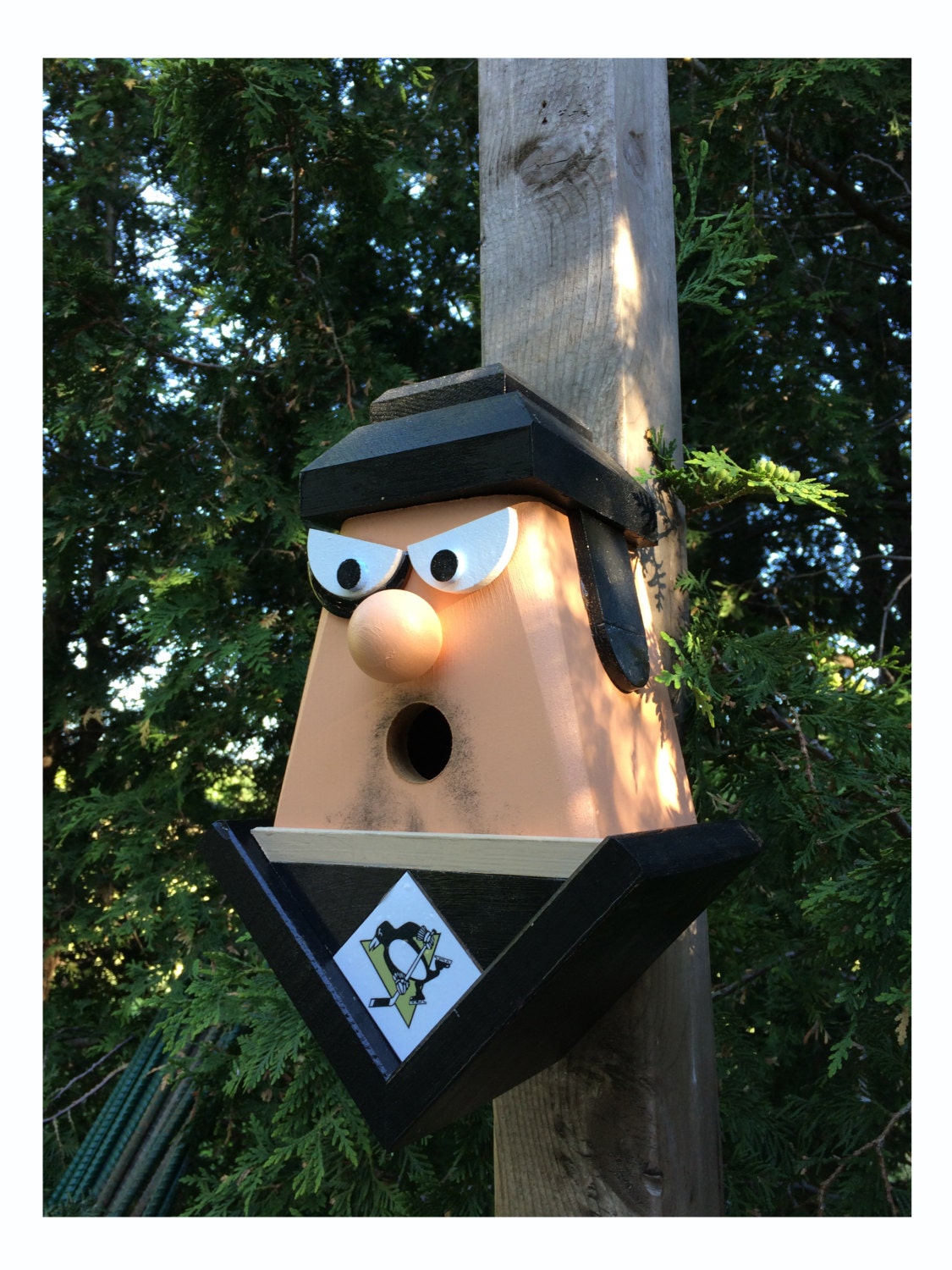 Pittsburgh Penguins Player Birdhouse