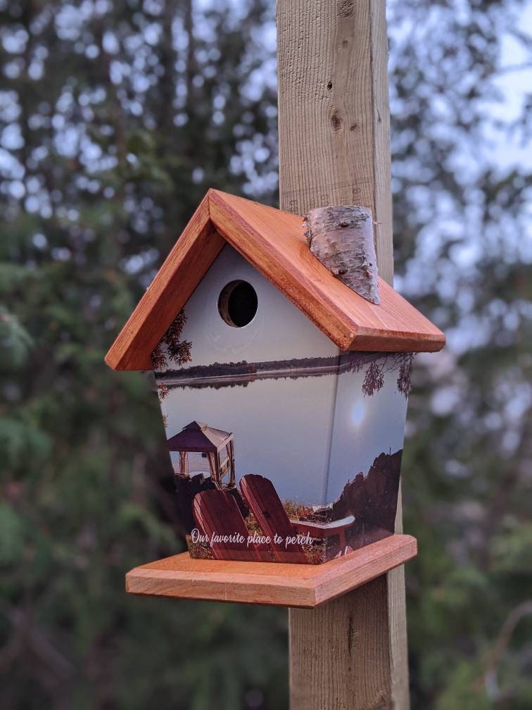 Our favorite place to perch! Birdhouse