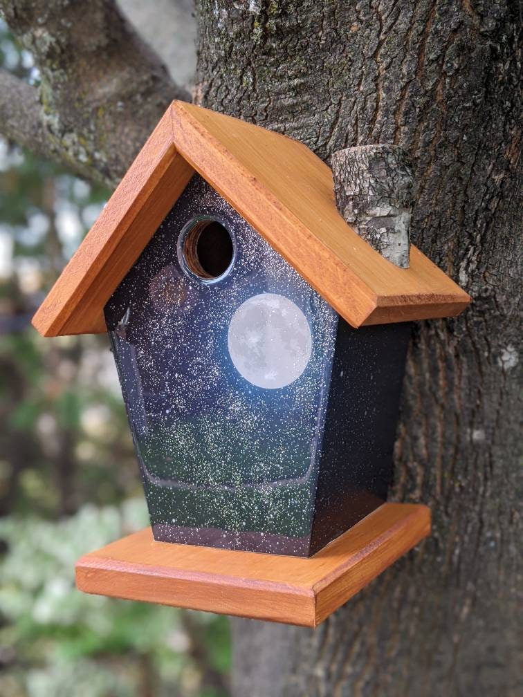 Full Moon Birdhouse