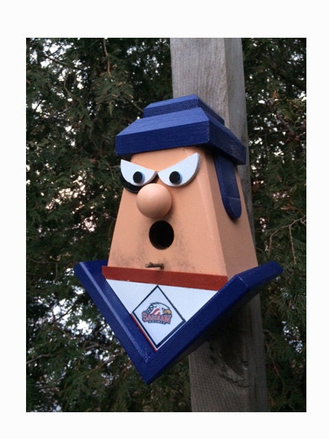 Saginaw Spirit Player Birdhouse