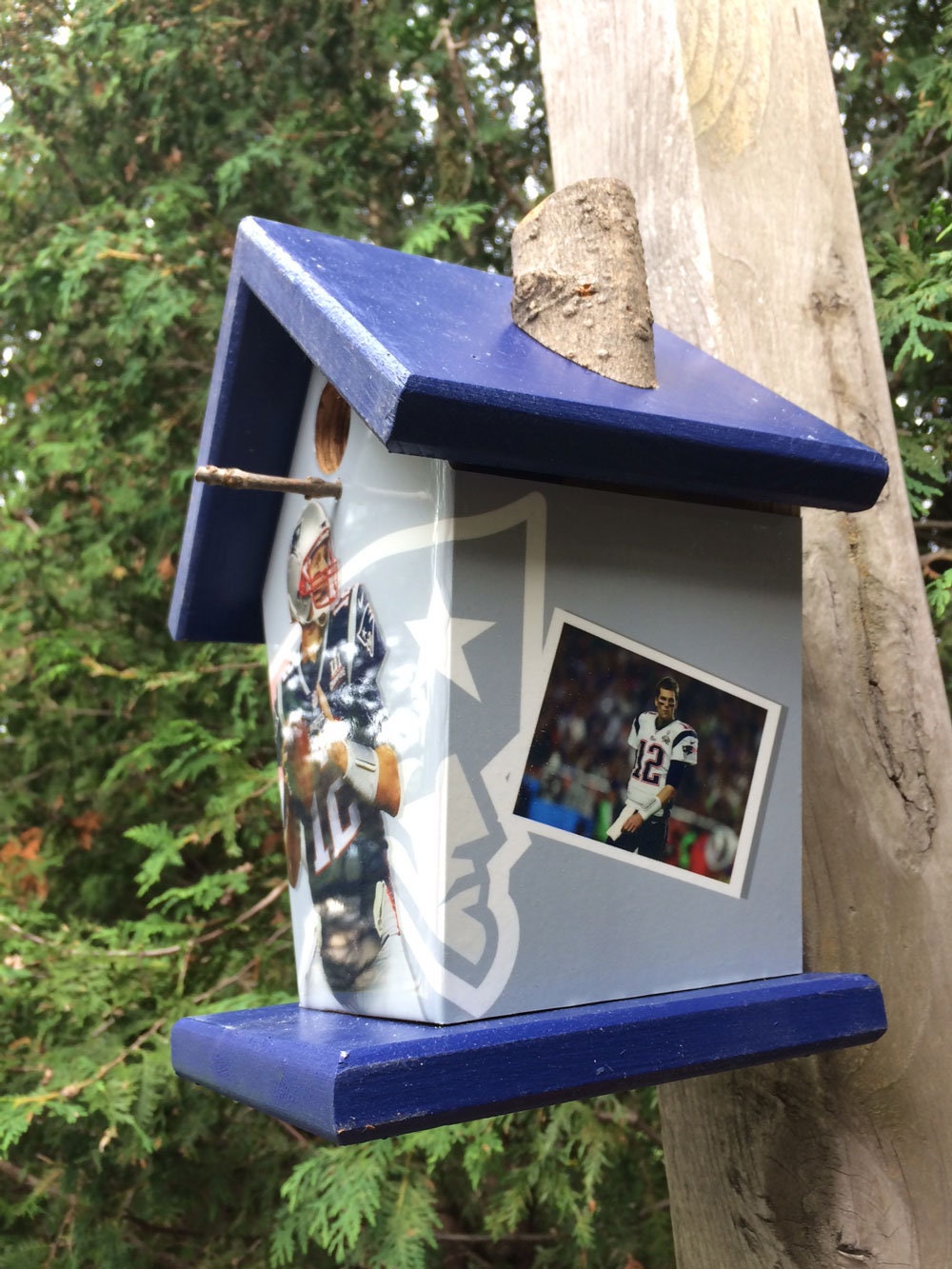 Tom Brady Birdhouse Sports