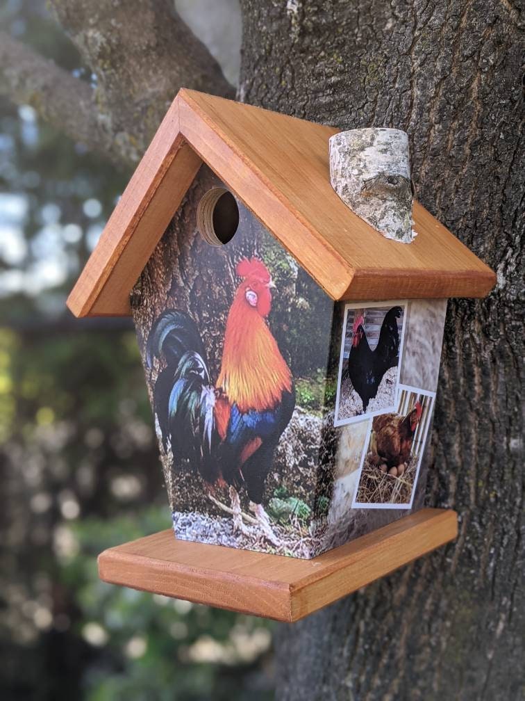 Rooster Birdhouse