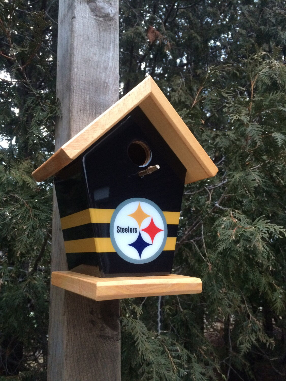 Pittsburgh Steeler Birdhouse Sports