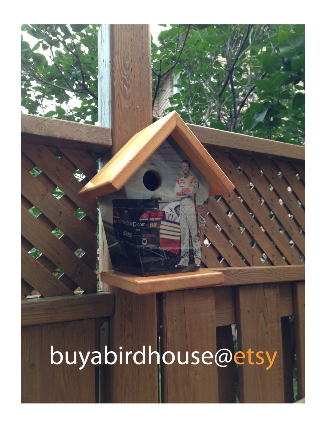 Dale Earnhardt Jr Birdhouse Sports