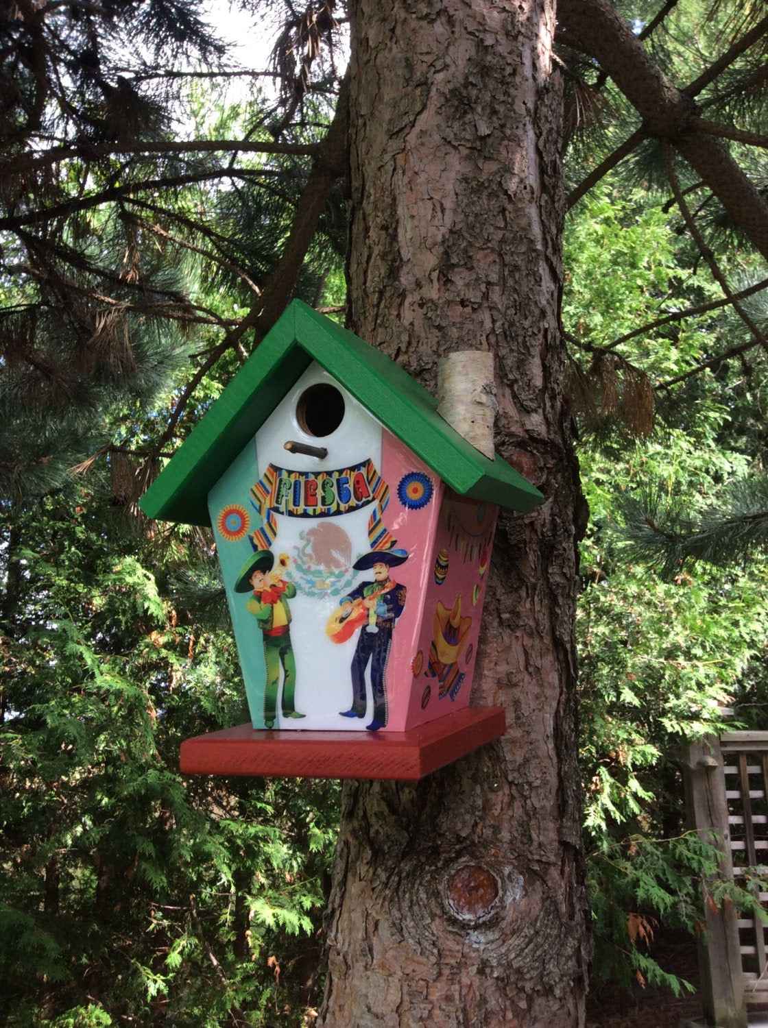 Mexico Fan Birdhouse