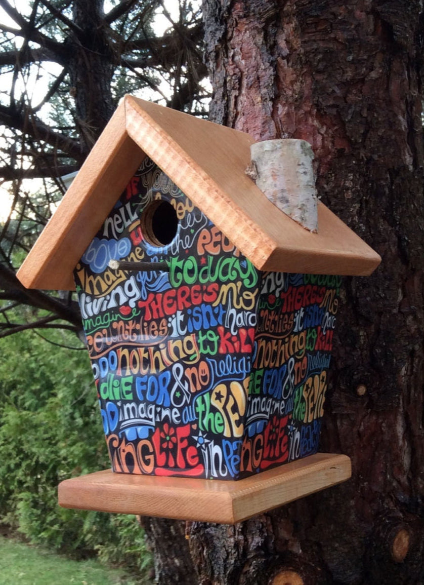 Imagine Birdhouse