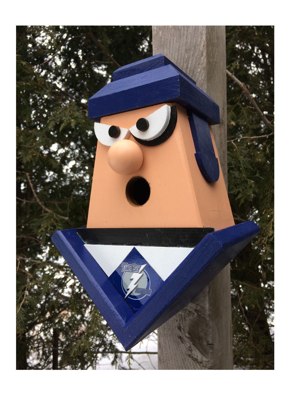Tampa Bay Lighting Player Birdhouse