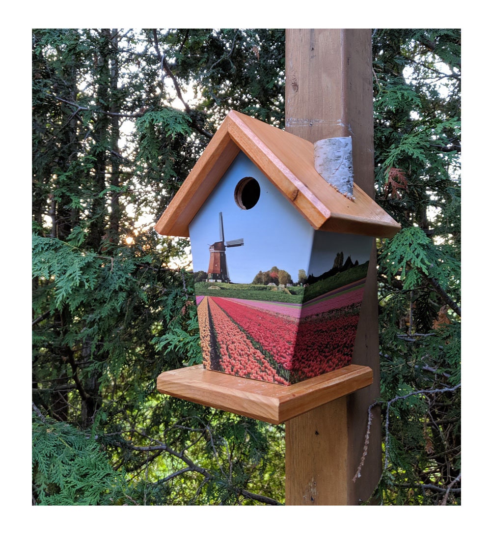 Windmills of Holland (Field) Birdhouse