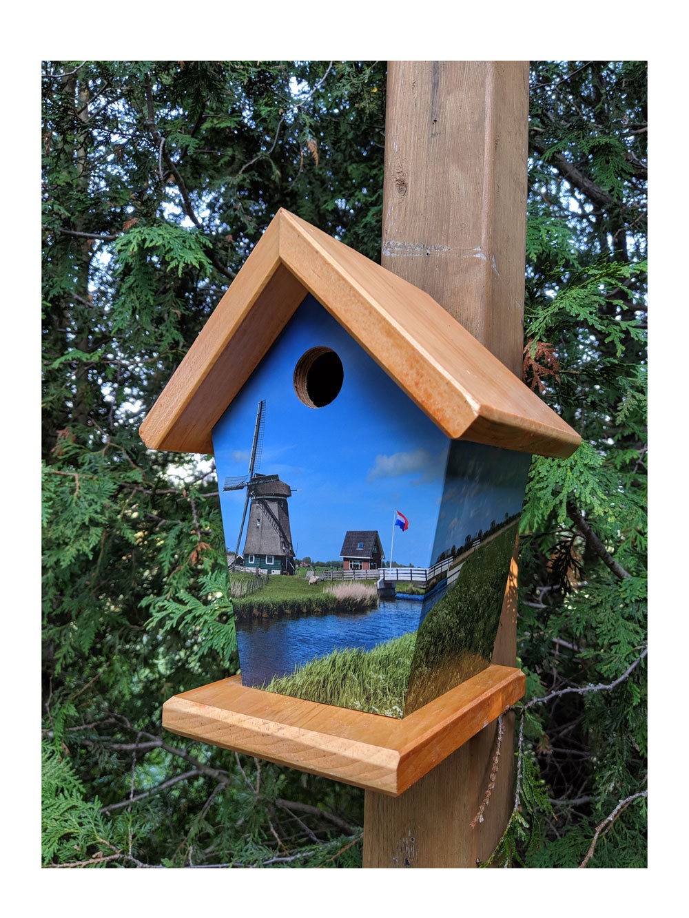 Windmills Of Holland (Waterfront) Birdhouse