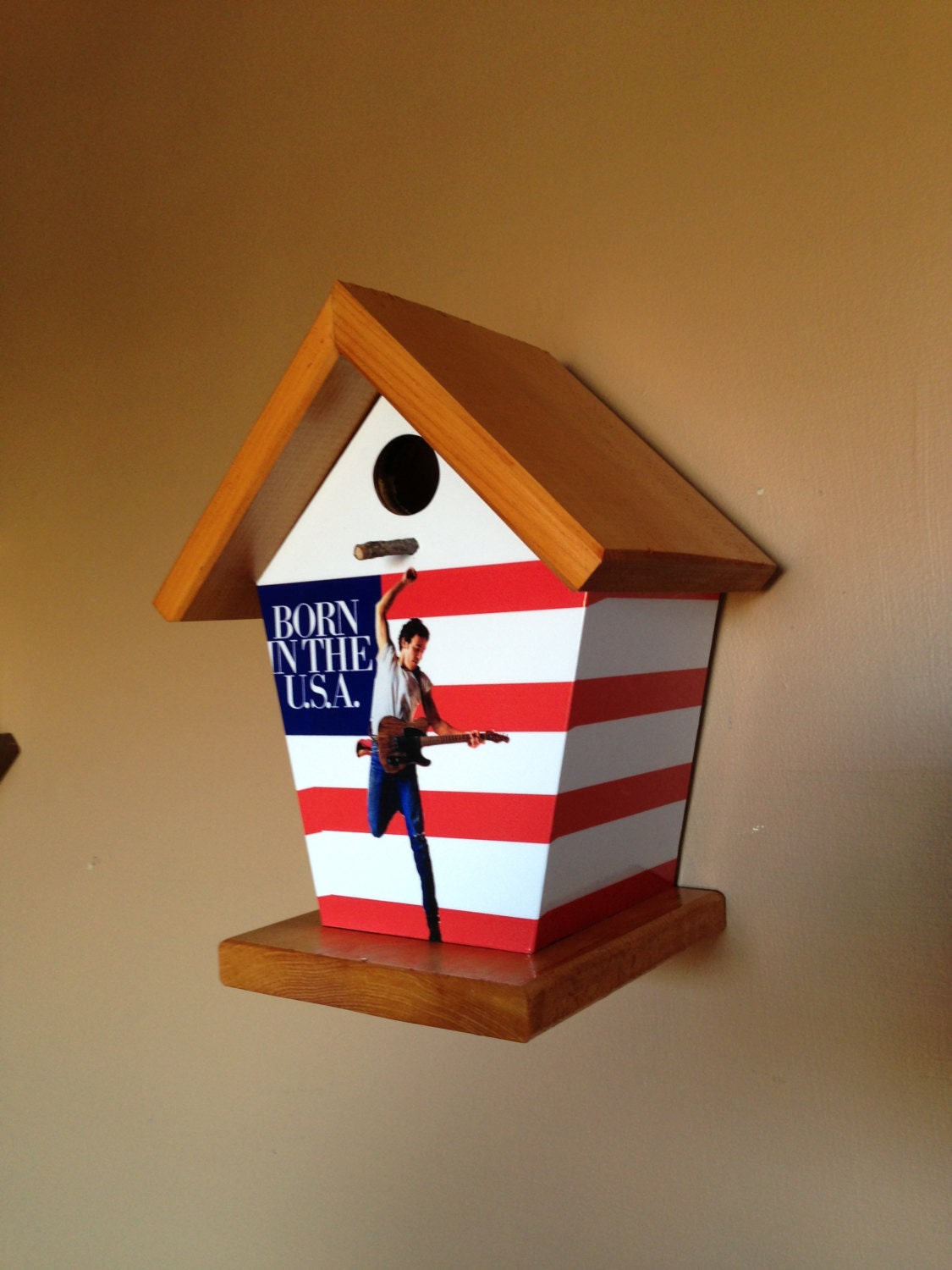 Bruce Springsteen Birdhouse Music