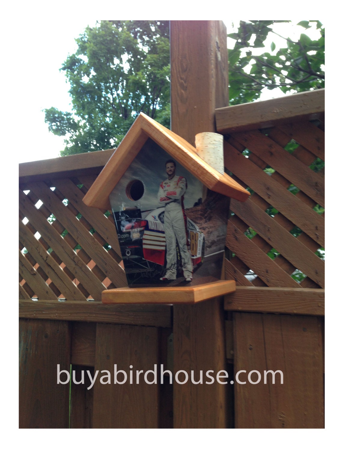 Dale Earnhardt Jr Birdhouse Sports