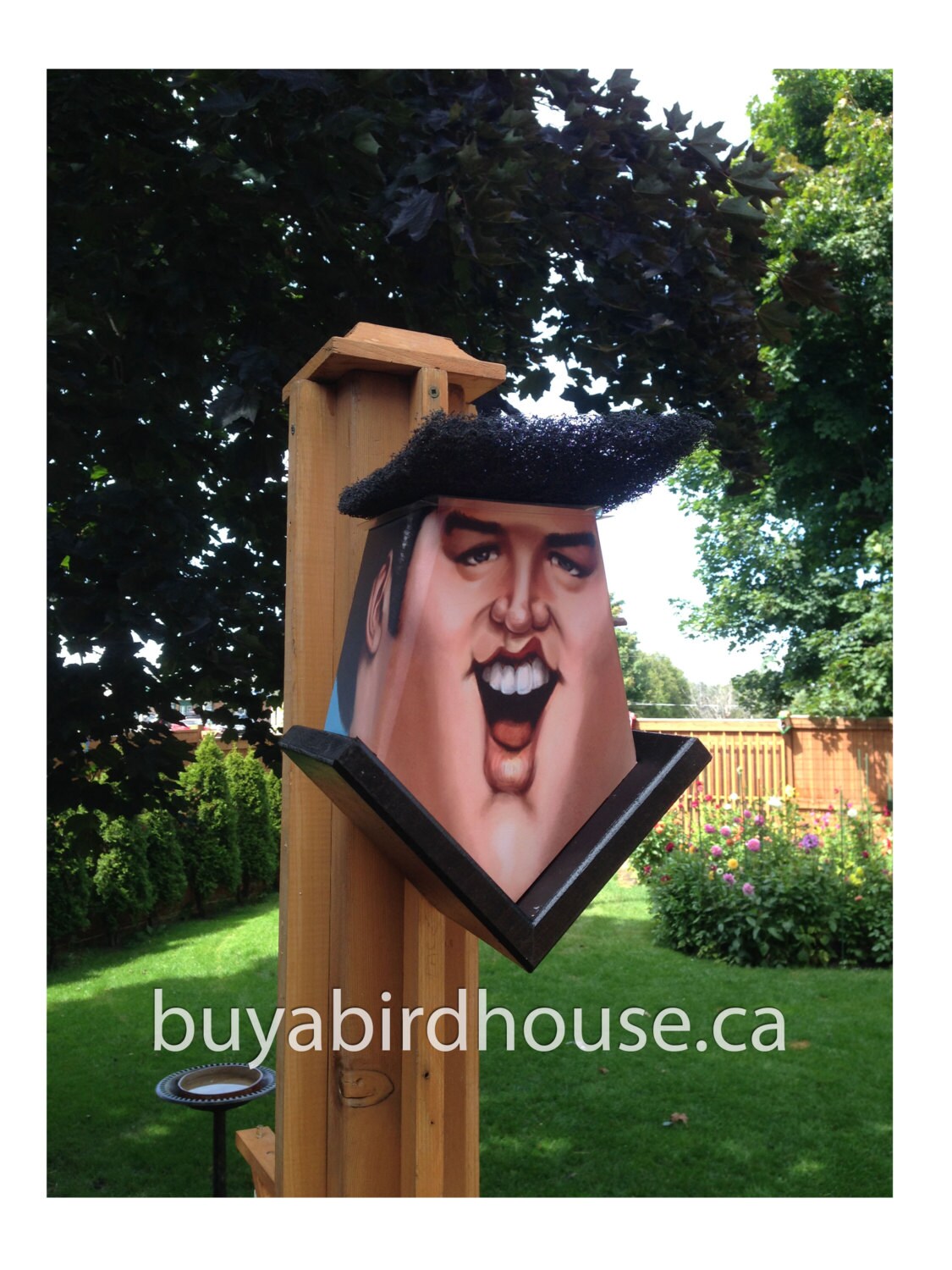 Elvis Presley (Hole in Ear) Birdhouse Music