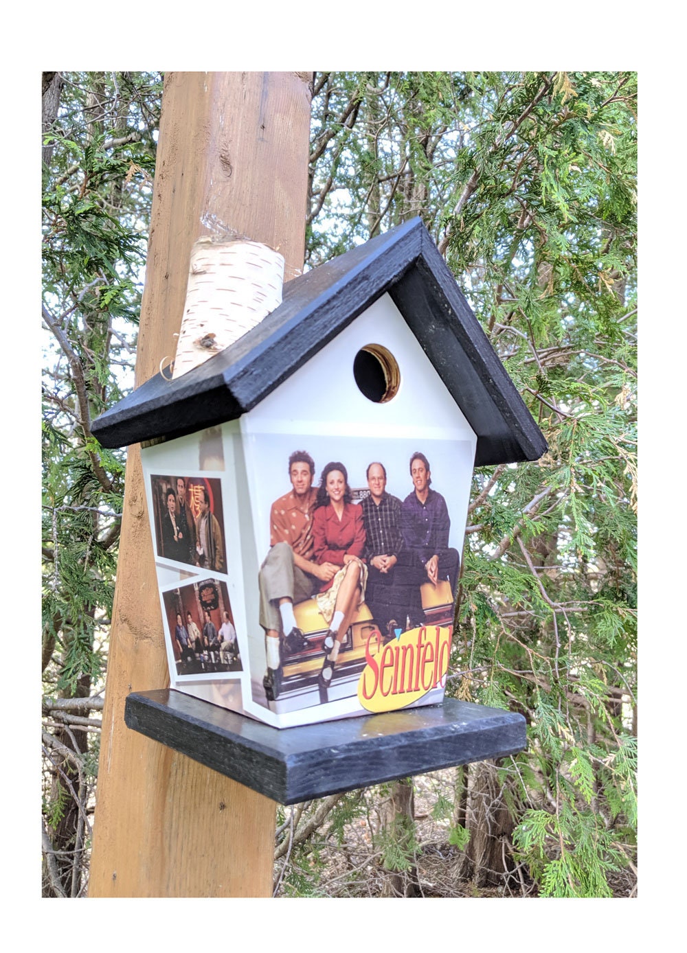 Seinfeld TV Show Birdhouse