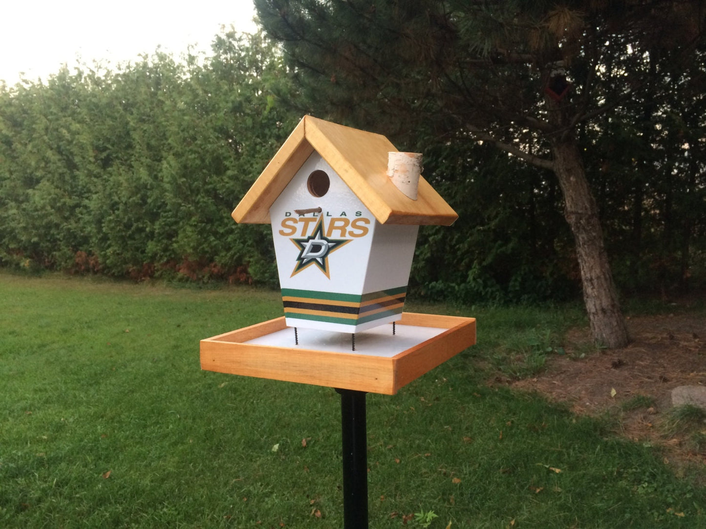 Dallas Star Bird Feeder