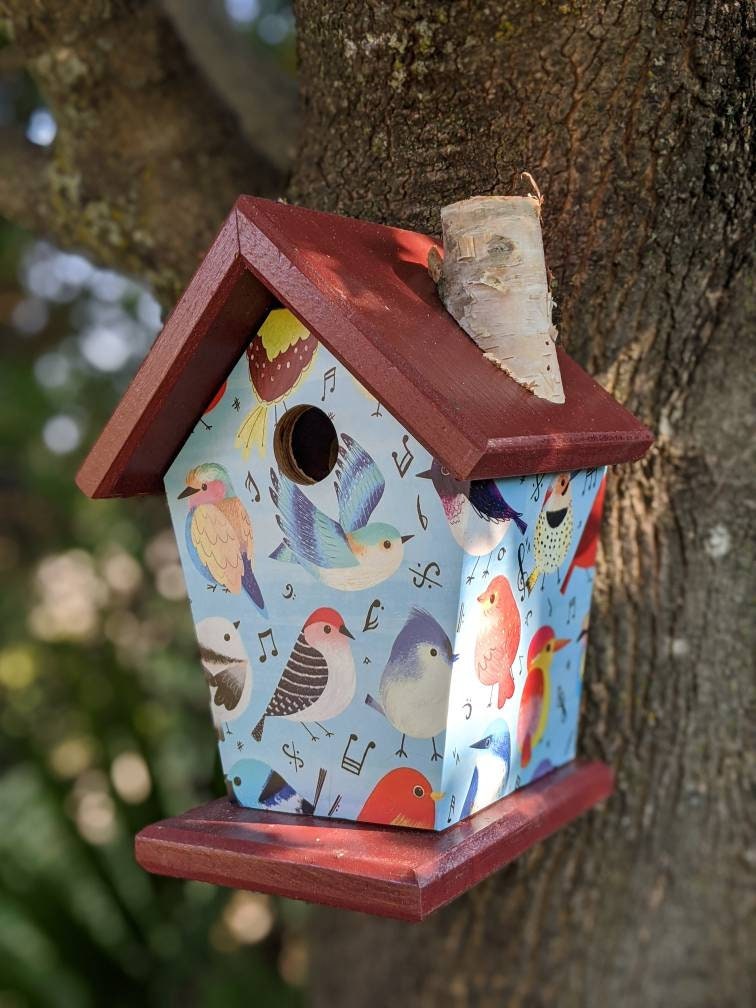 Songbirds (Blue Roof) Birdhouse