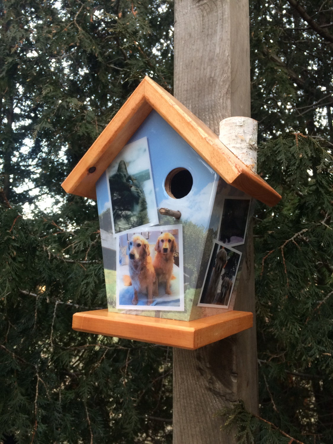 Custom (6 Images) Birdhouse/Feeder