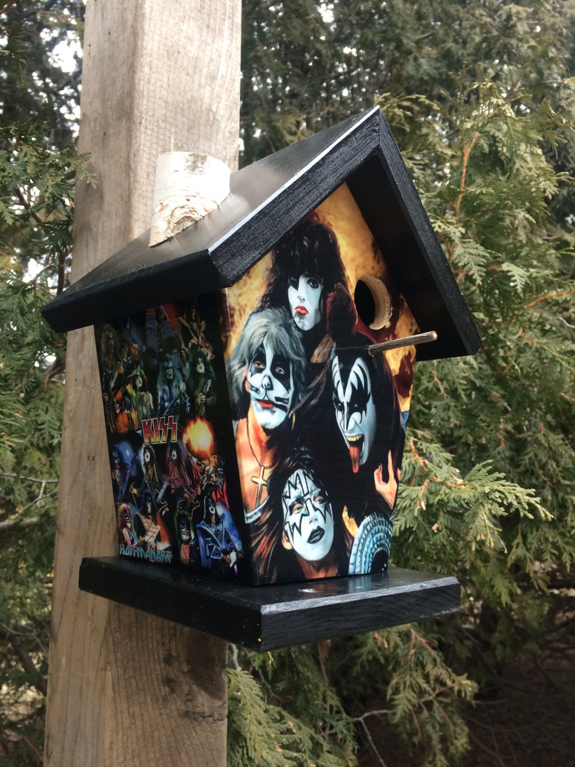 Band Kiss Birdhouse Music